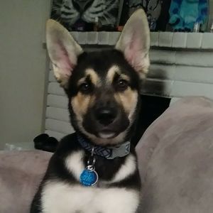 Meet your Posher, Christina